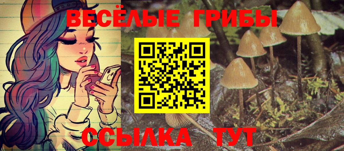 Псилоцибиновые грибы прущие грибы Орёл